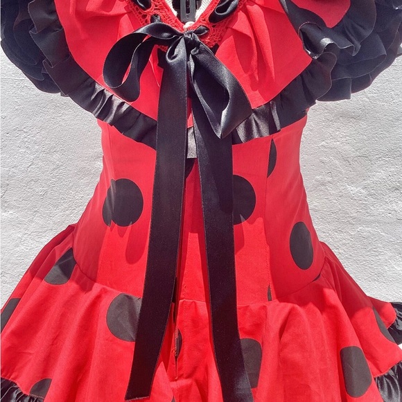 Authentic Spanish  
Vintage Flamenco Dress - Picture 10 of 10